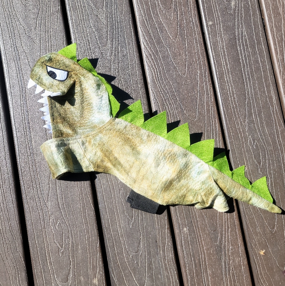 Dinosaur costume for dog